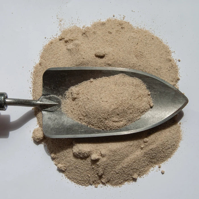 Strandsand (Sandkassesand) 0-2 mm