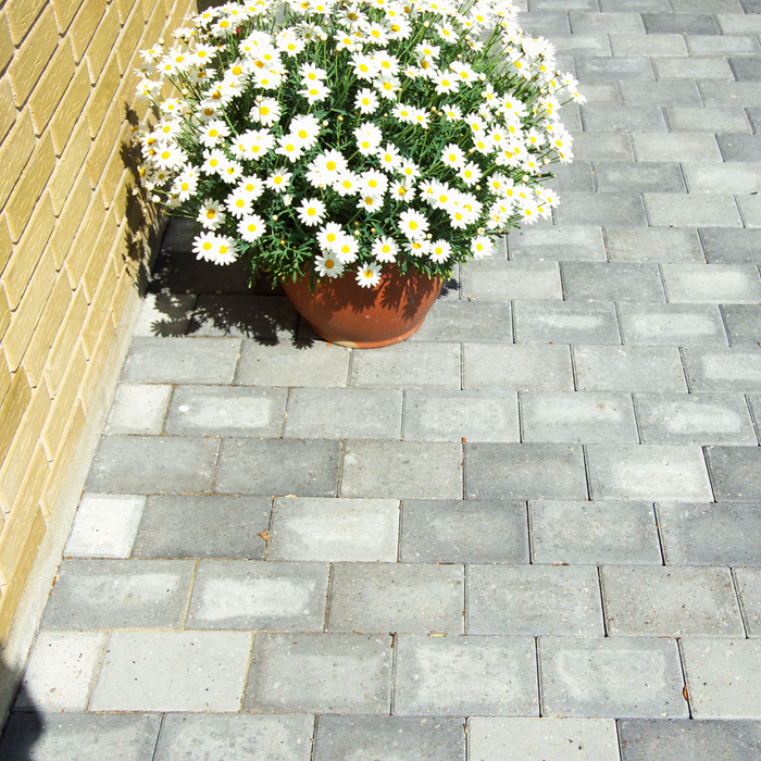 IBF Bondesten 14x10,5x5 cm Halve