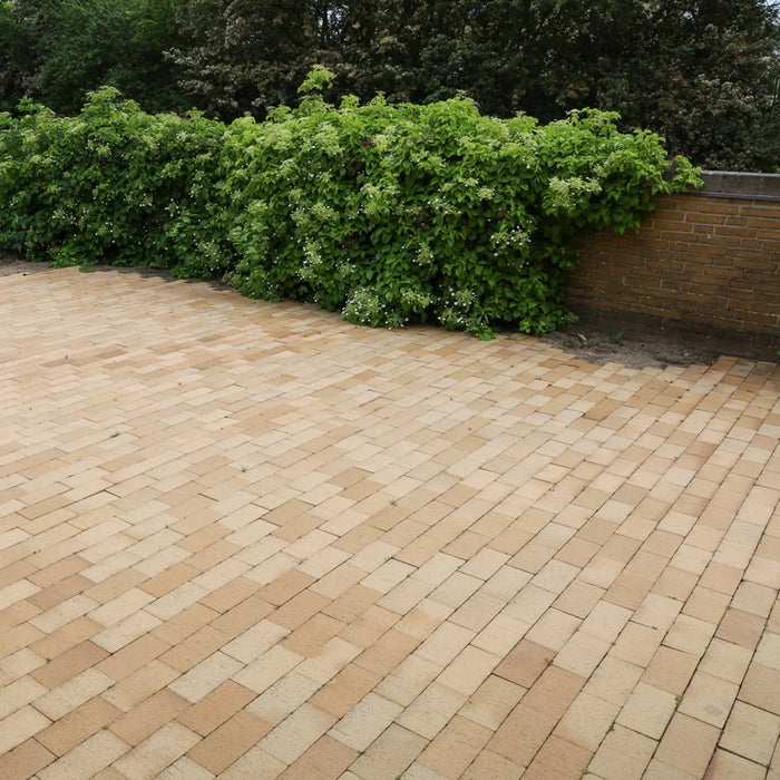 Teglklinker Elba (215x105x50 mm)