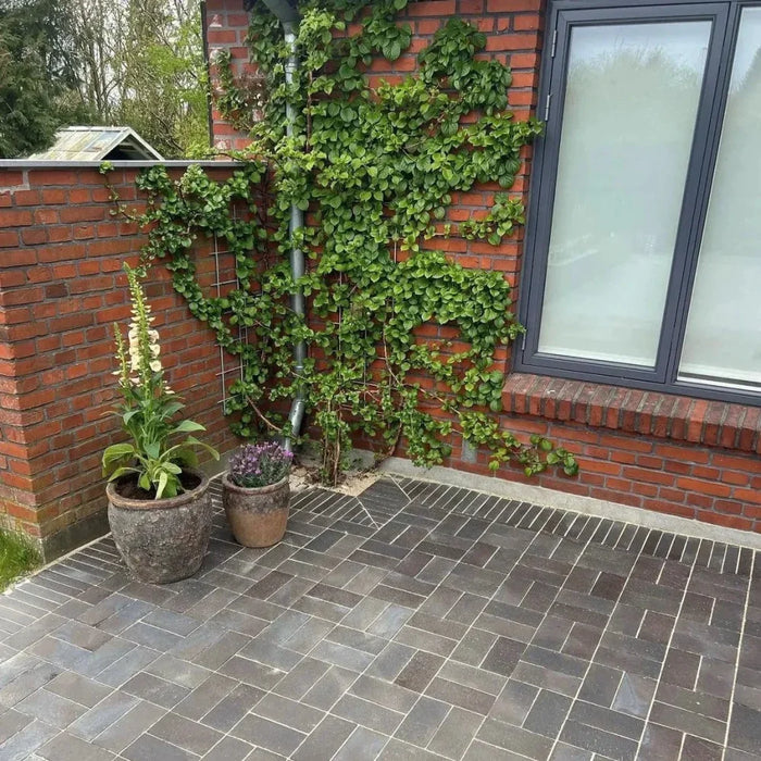 Teglklinker Manchester (215x105x50 mm)